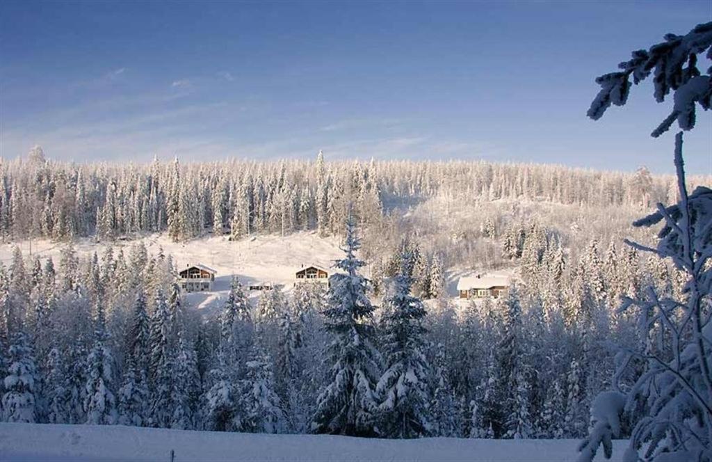 Karkutahko Villas Ruokonen Екстер'єр фото