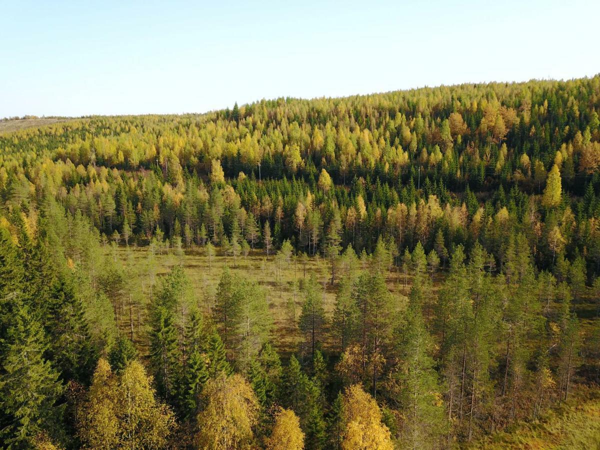 Karkutahko Villas Ruokonen Екстер'єр фото